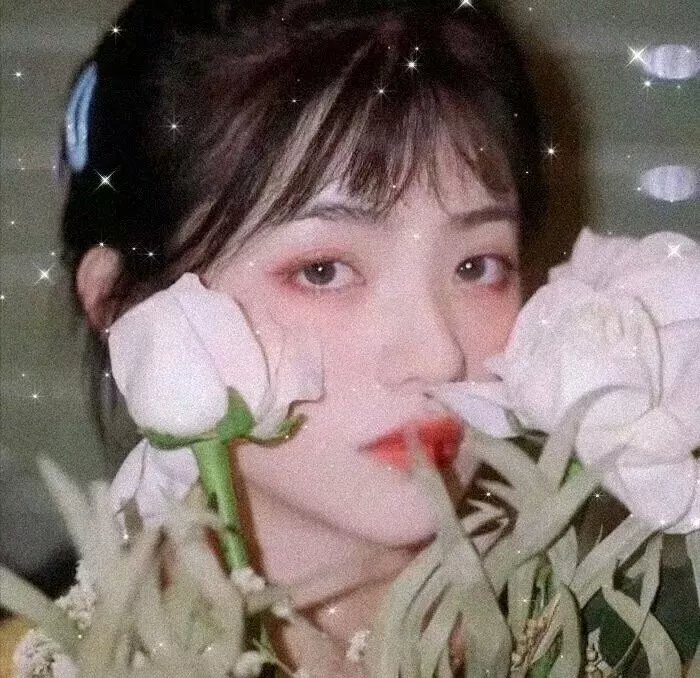 海昆与梅莱克